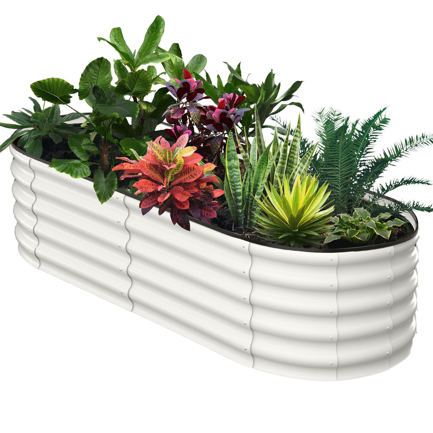 J-BLOOMLTD 183x91x46 cm Galvanized Raised Beds for Outdoor, Oval Raised Garden Bed with Open Base, Tool-Free Assembly Planter Raised Boxes for Outdoor Vegetables & Flowers, White